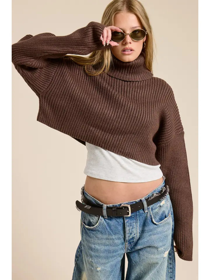 Cropped Ribbed Turtleneck Sweater