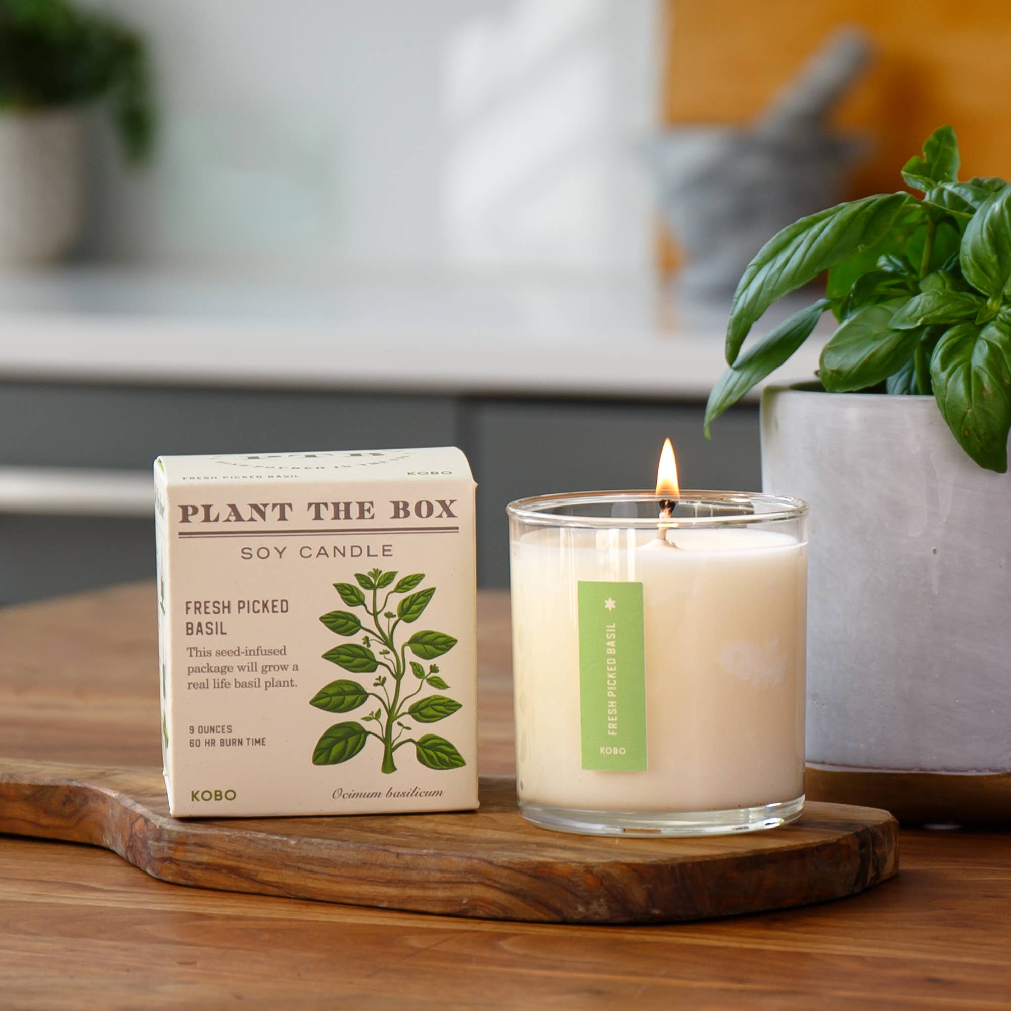 KOBO - Fresh Picked Basil - Plant the Box Candle - 9oz.