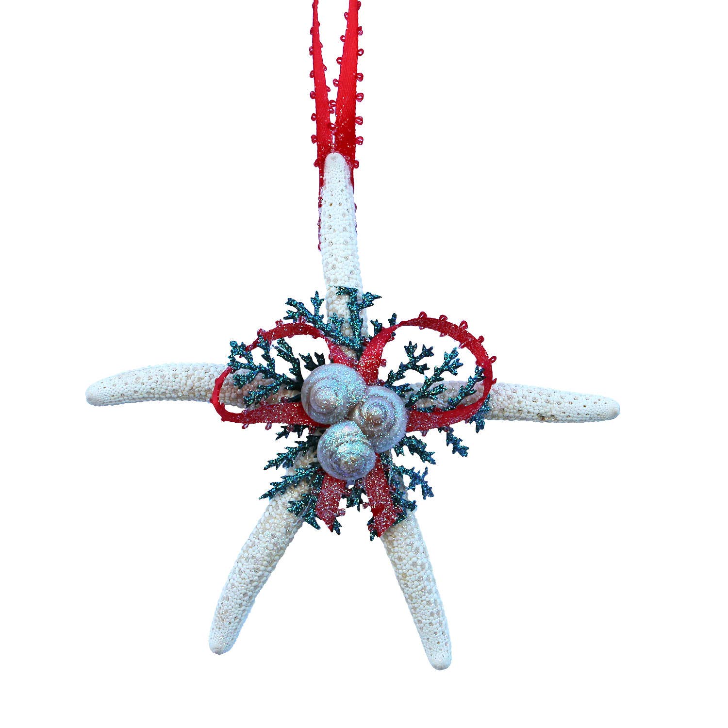 California Seashell Company - White Finger Starfish Evergreen Collage Ornament