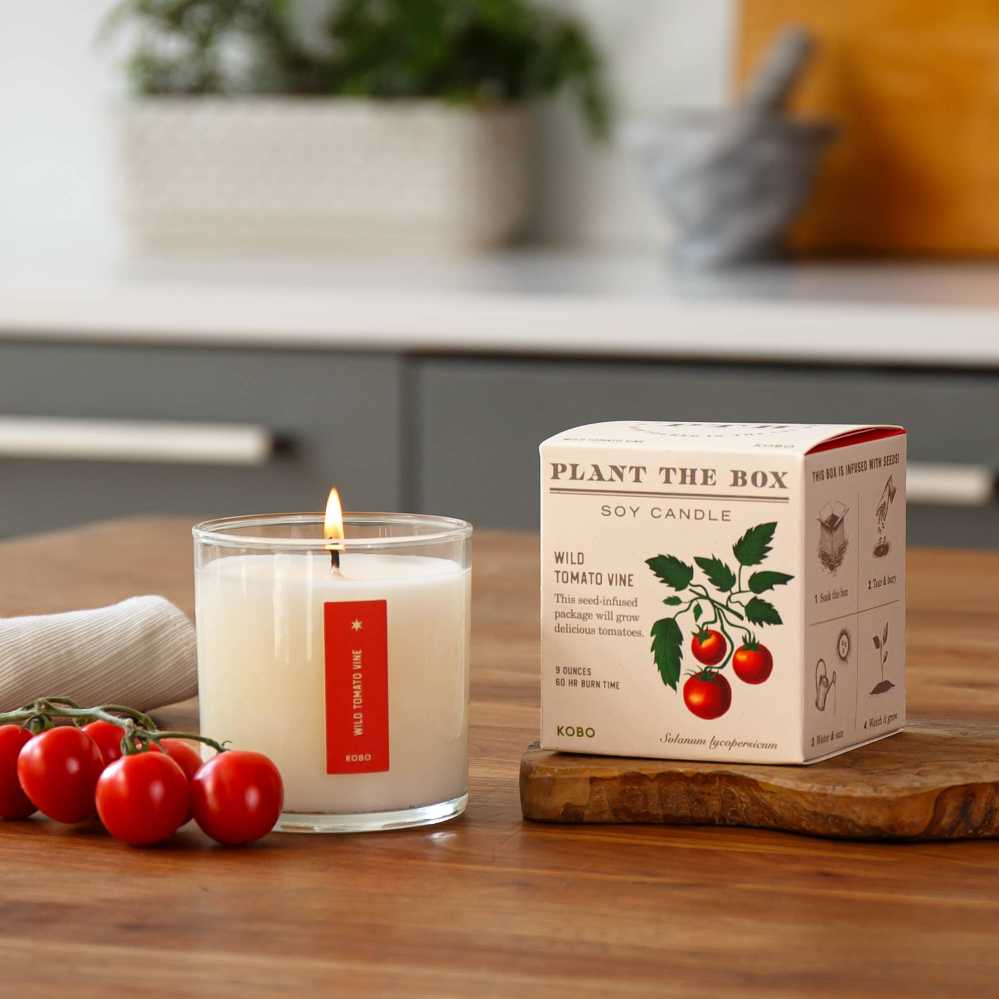 KOBO - Wild Tomato Vine - Plant the Box Candle - 9oz.