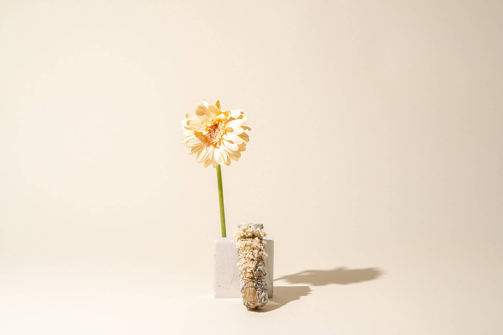 Black and Jane - Ethically Sourced White Sage + Wildflowers