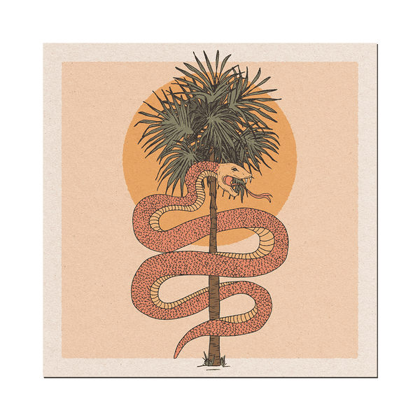 cai & jo - Palm Snake Print
